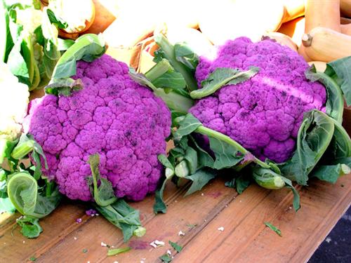 Purple Cauliflower1
