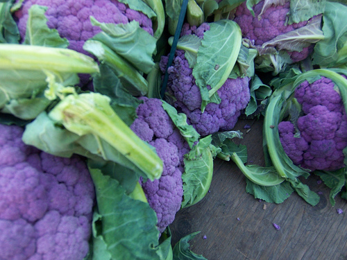 Purple Cauliflower4